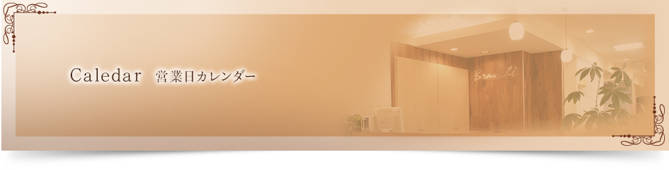 美容室ヘアブランシェ営業日カレンダー